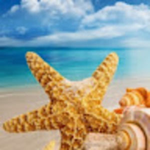 Meet your Posher, Naser